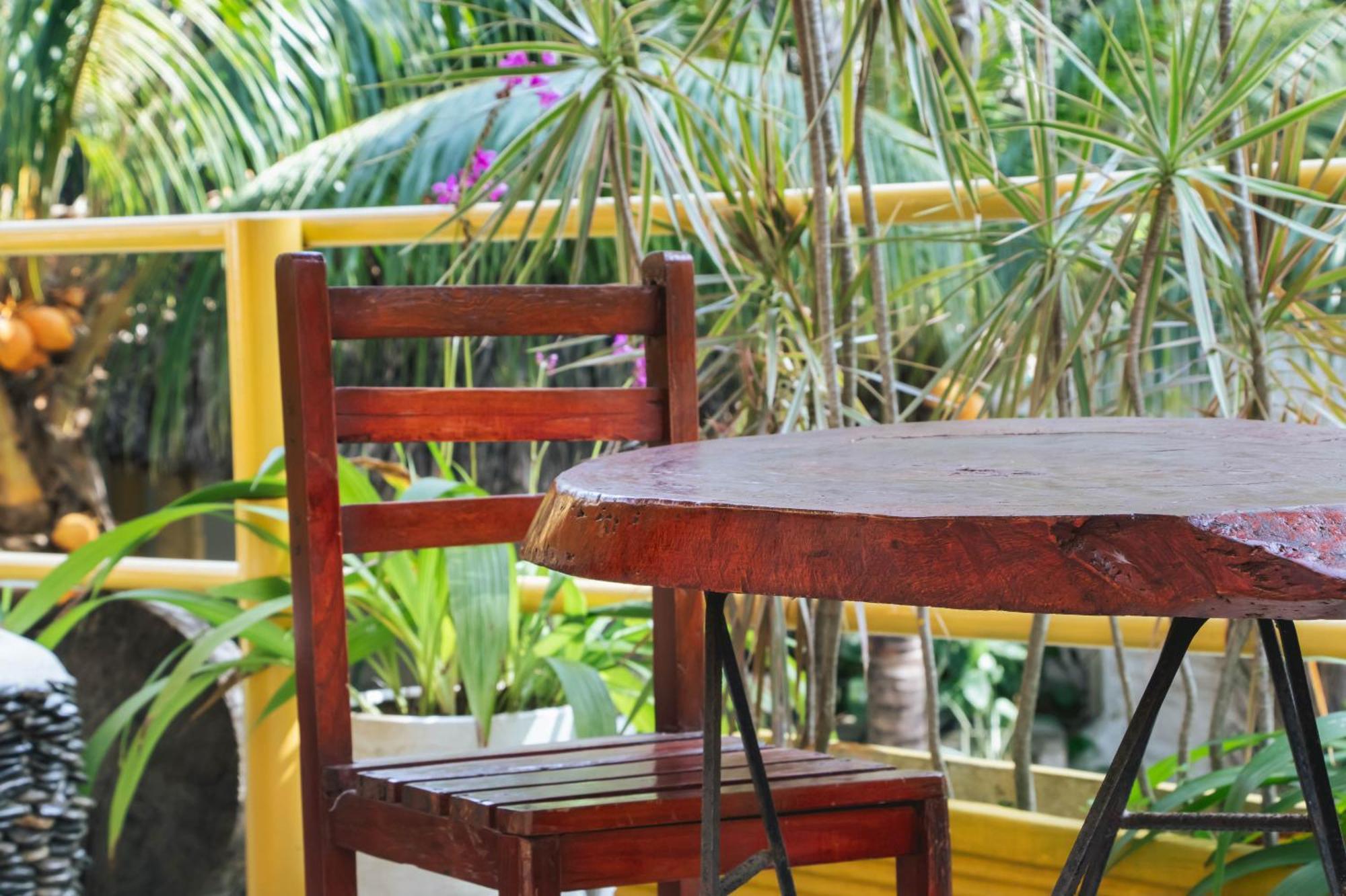 Hotel Manakin Tayrona Zaino Kültér fotó