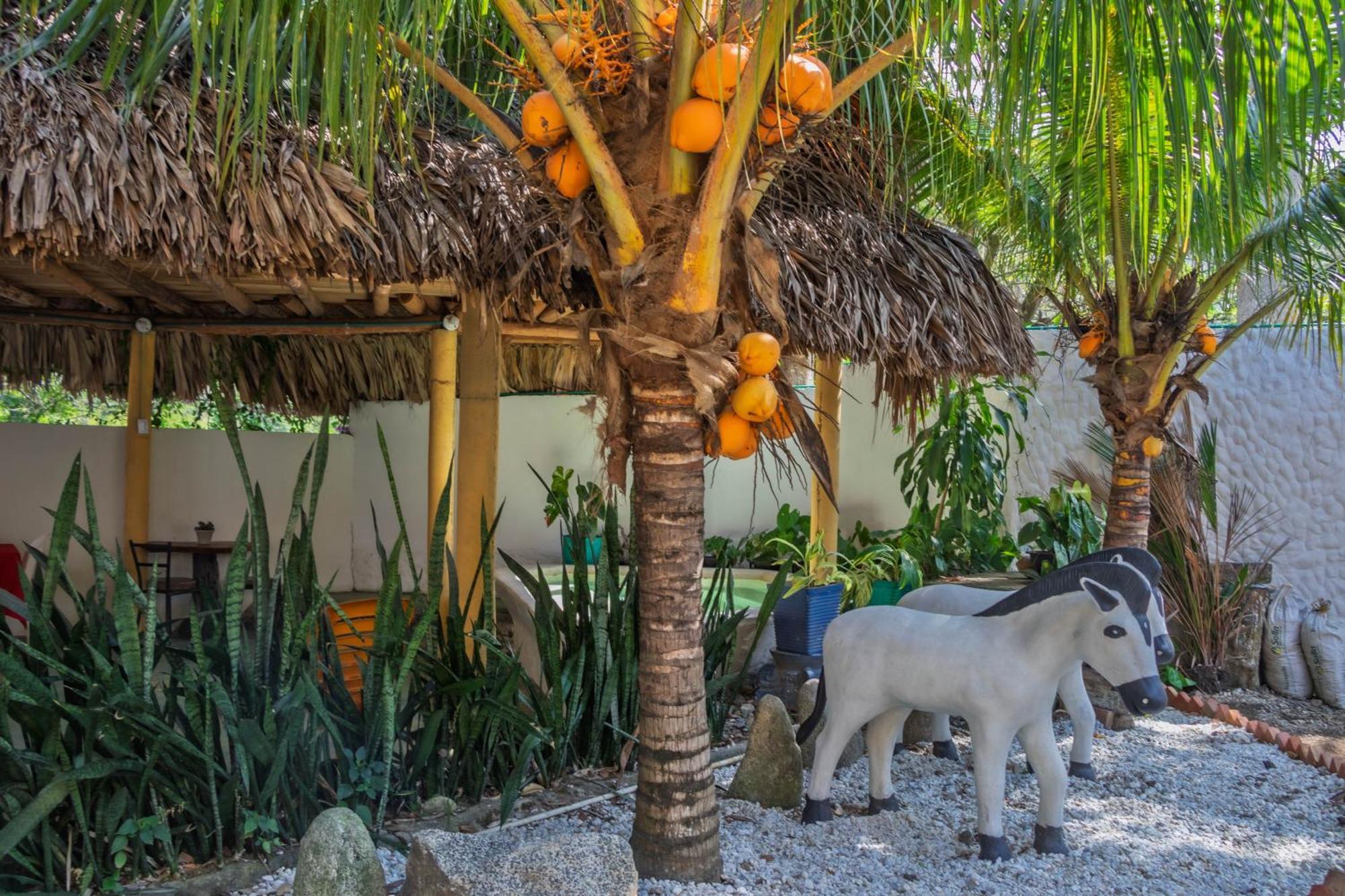 Hotel Manakin Tayrona Zaino Kültér fotó